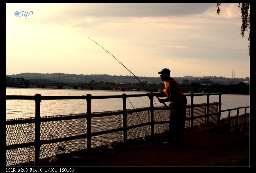 DSC03070a.jpg