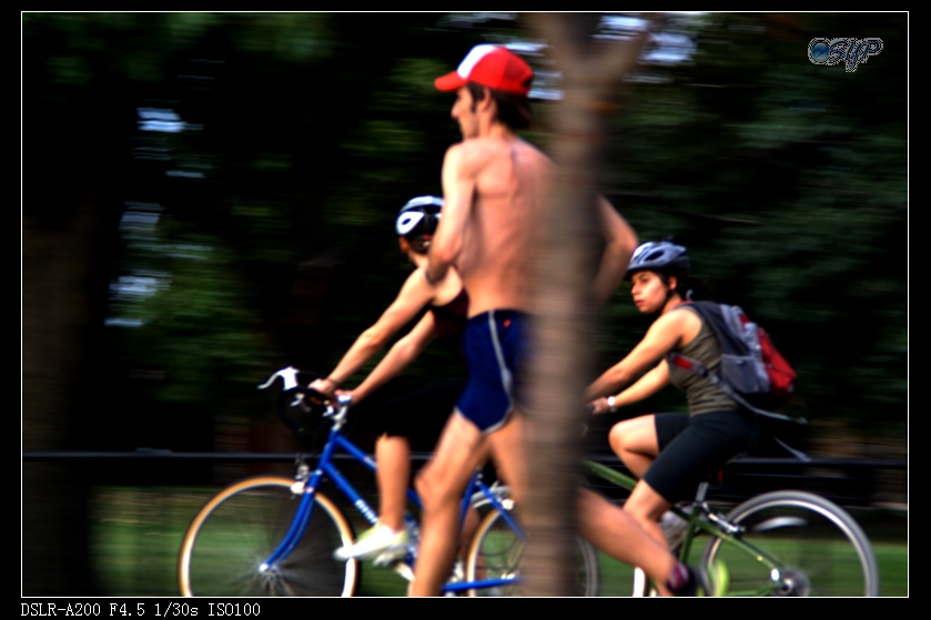 DSC03084a.jpg