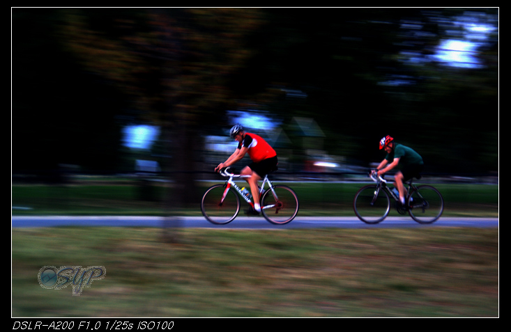 DSC02444a.jpg