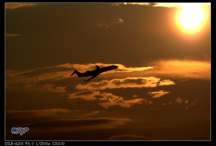 DSC03092a.jpg