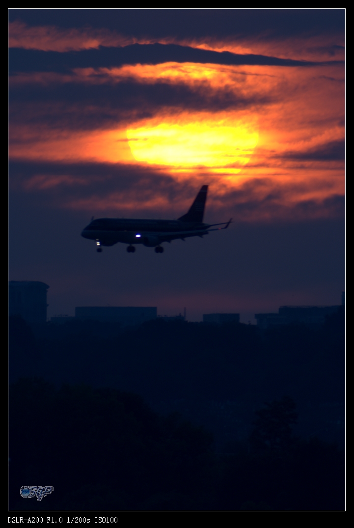 DSC03381a.jpg