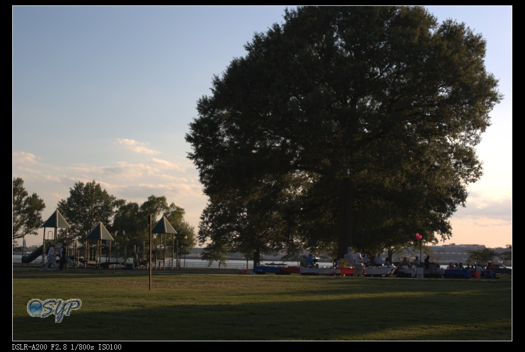 DSC02784a.jpg