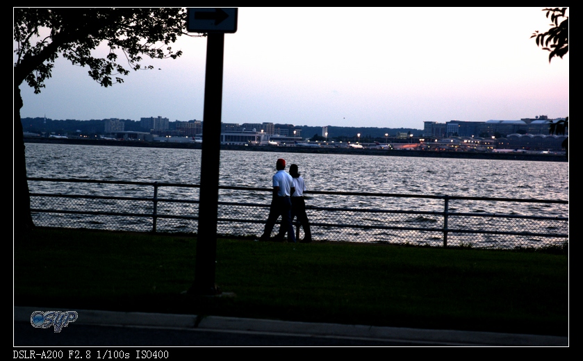 DSC03433a.jpg