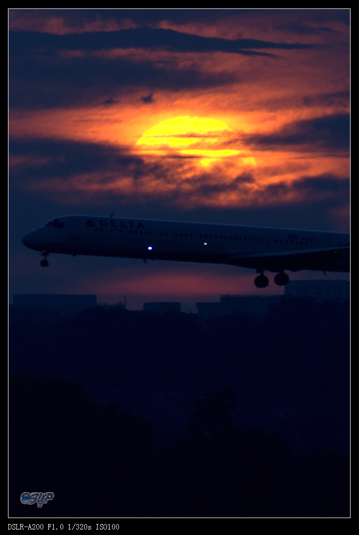 DSC03388a.jpg