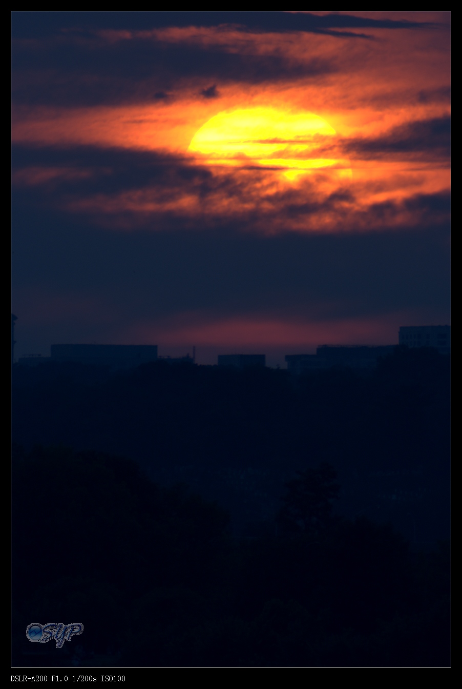 DSC03387a.jpg