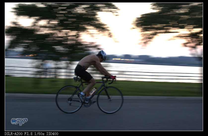 DSC03431a.jpg