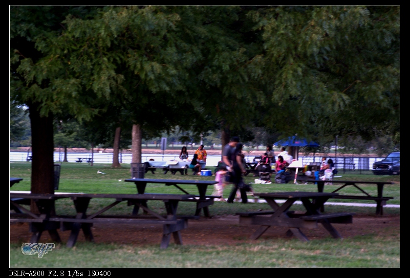 DSC03443a.jpg