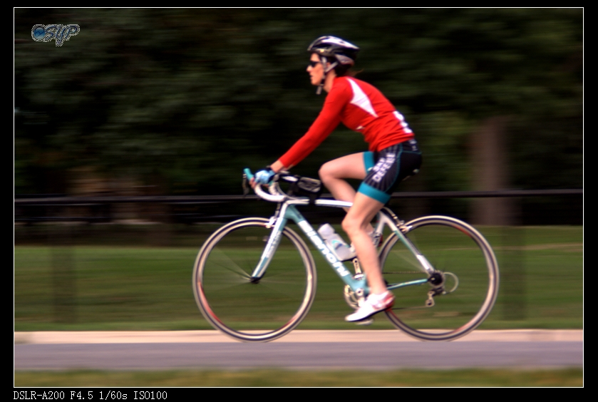 DSC03087a.jpg