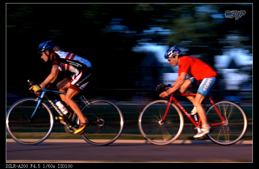 DSC02913a.jpg