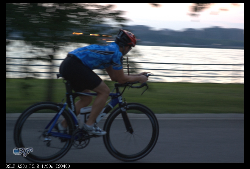 DSC03425a.jpg