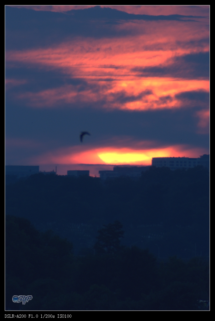 DSC03396a.jpg