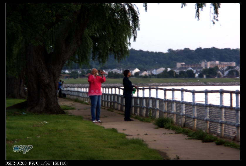 DSC03161a.jpg