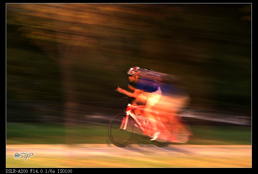 DSC03076a.jpg