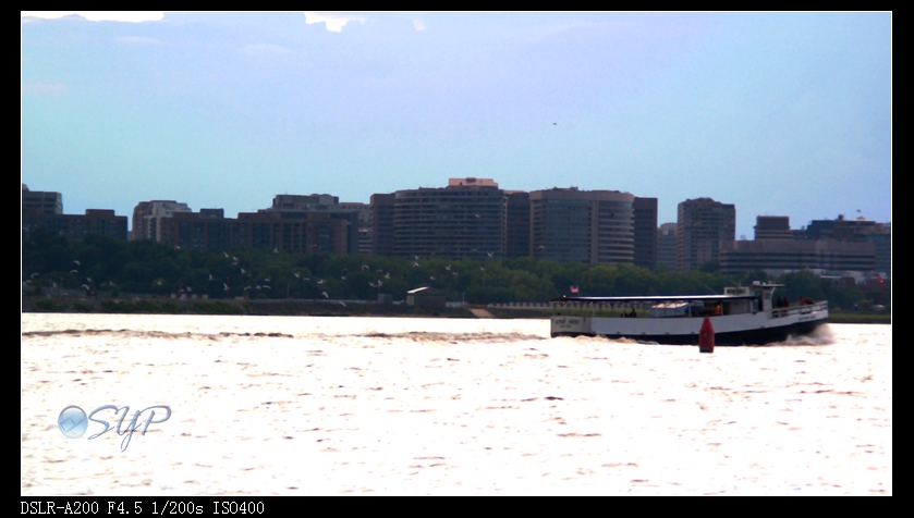 DSC03204a.jpg