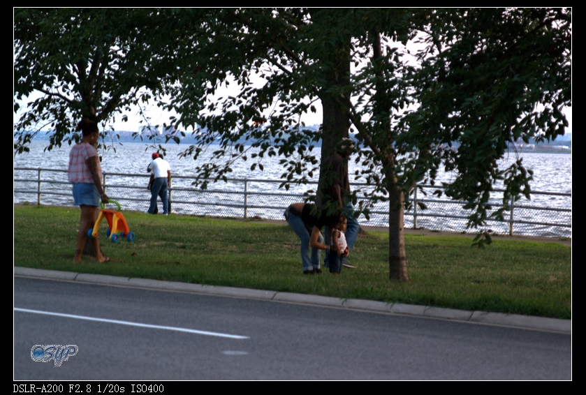 DSC03437a.jpg