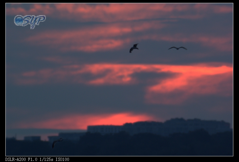 DSC03406a.jpg