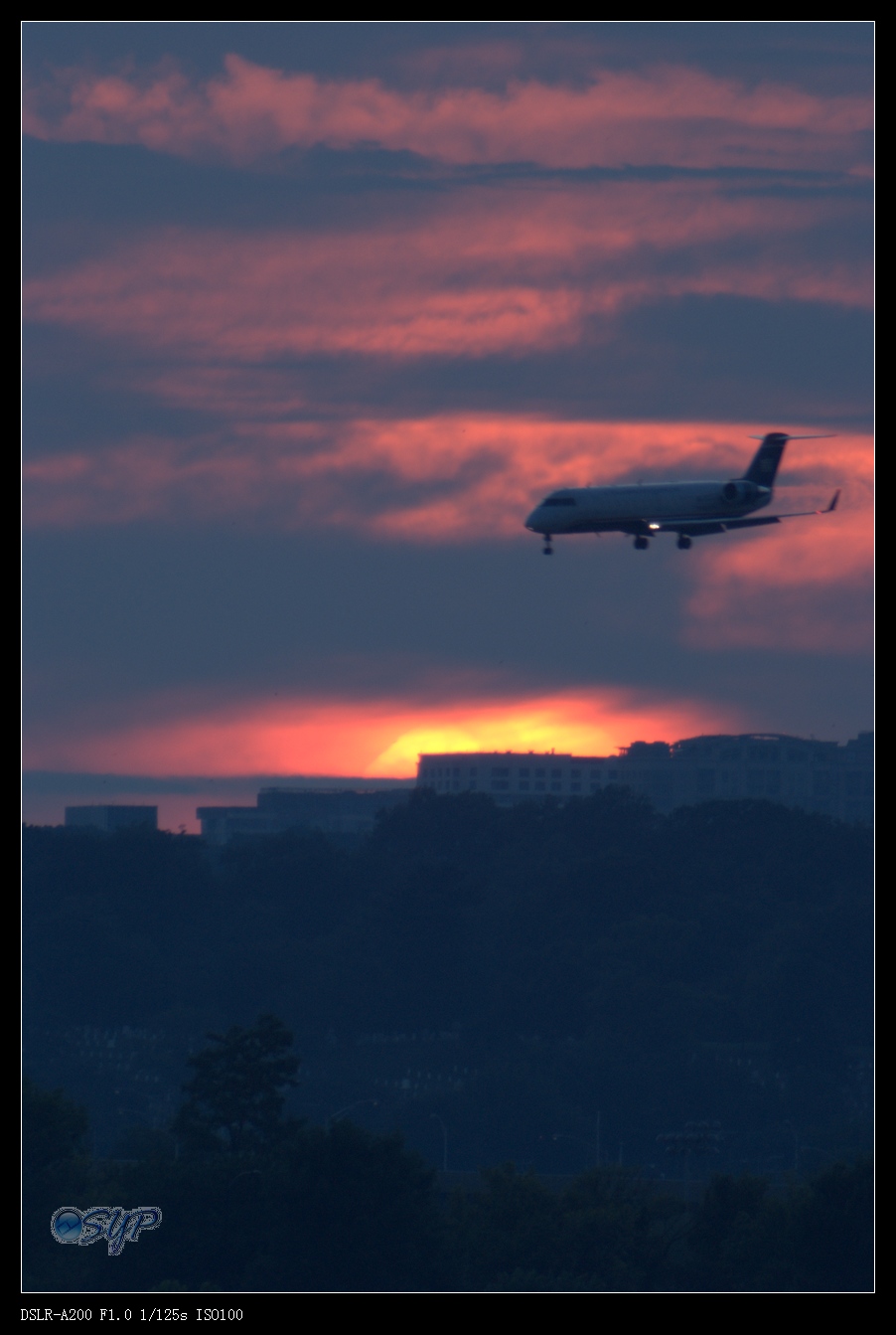 DSC03403a.jpg