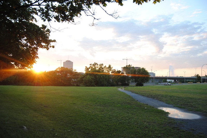 DSC_6154.JPG