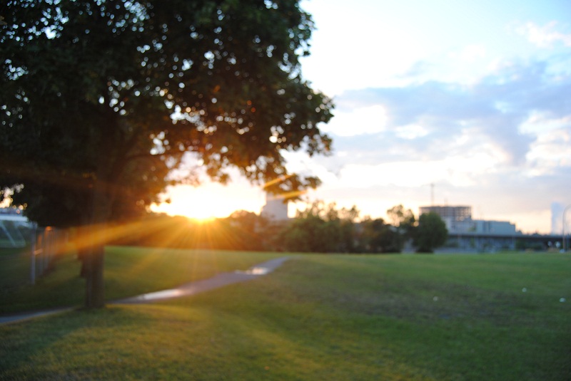 DSC_6150.JPG