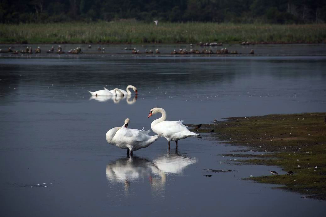 С IMG_7132.JPG