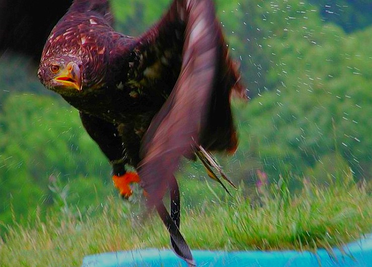 3269894804448915822_conew1.jpg