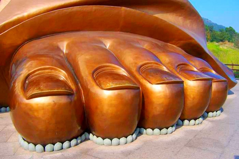760826862051137262_conew1.jpg