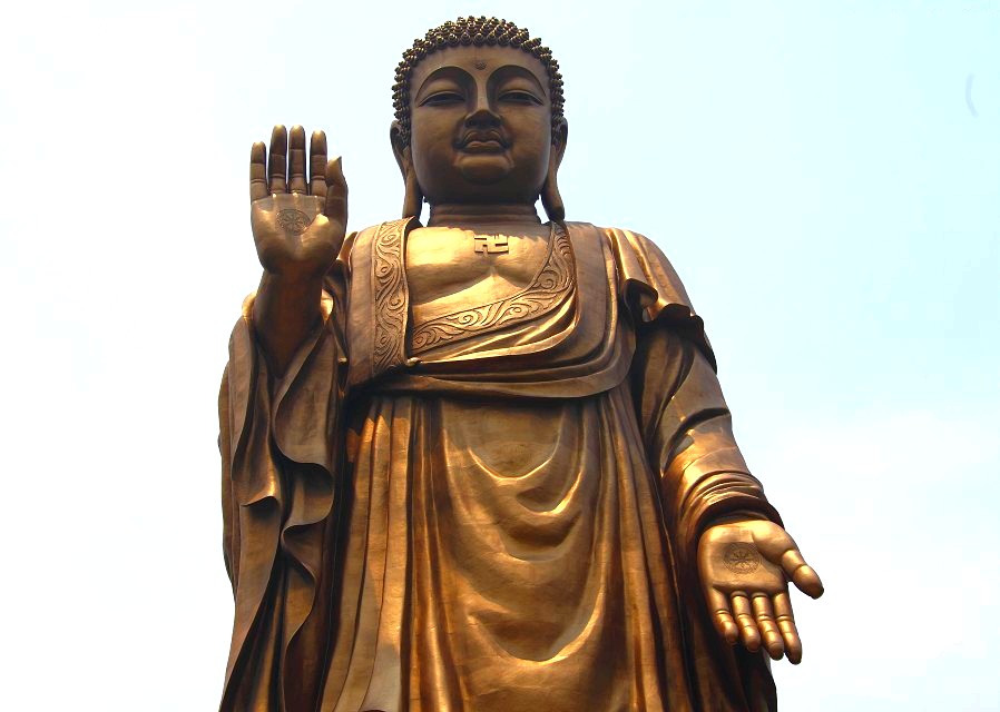 2531304465575794061_conew1.jpg