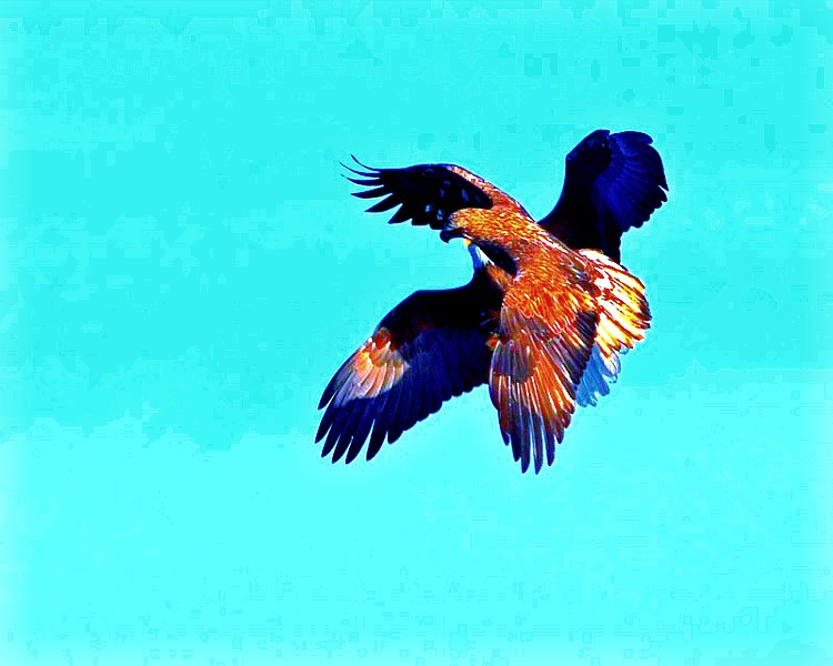 1204149950368749154_conew1.jpg