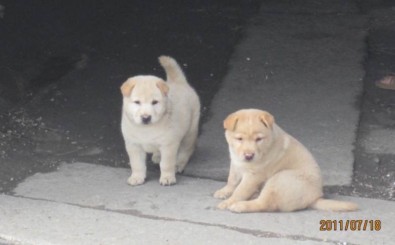 ��ʮ 148_conew1.jpg