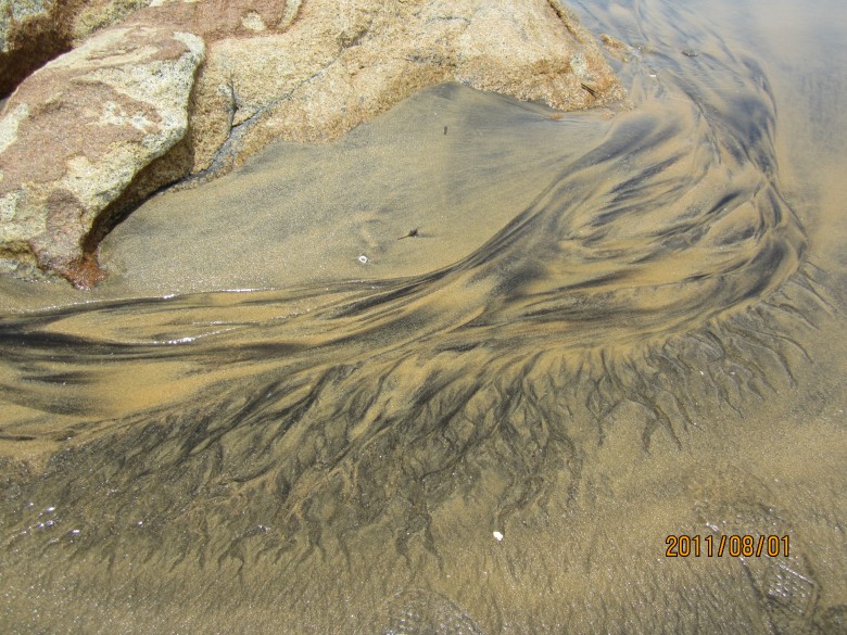 �㺣 304_conew1.jpg