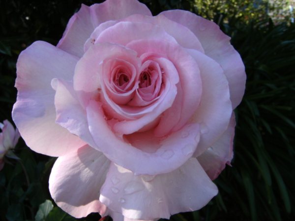 DSCF0643.JPG