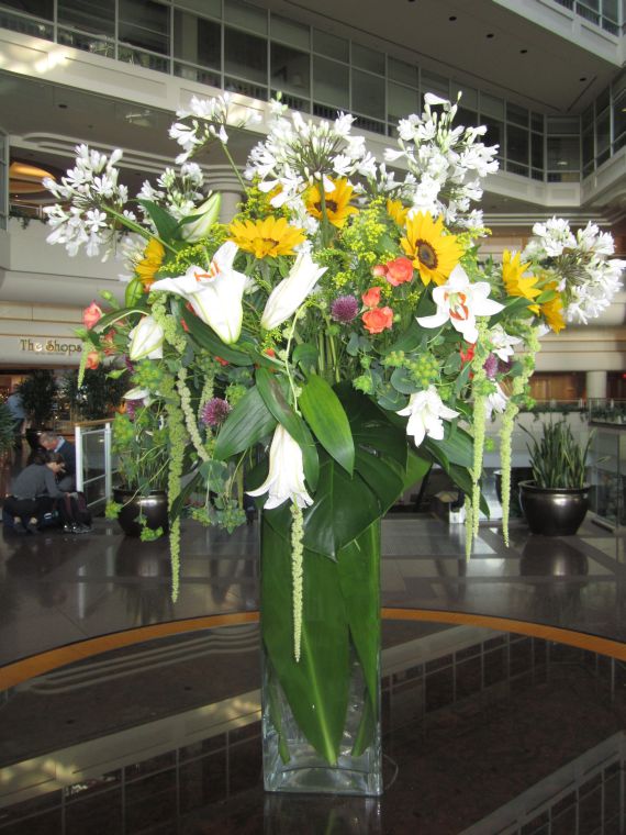 cruise,vancouva,seattle&nbsp;&nbsp;2011-7-30 1018.jpg