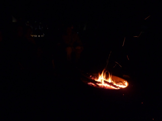 P1010229.jpg