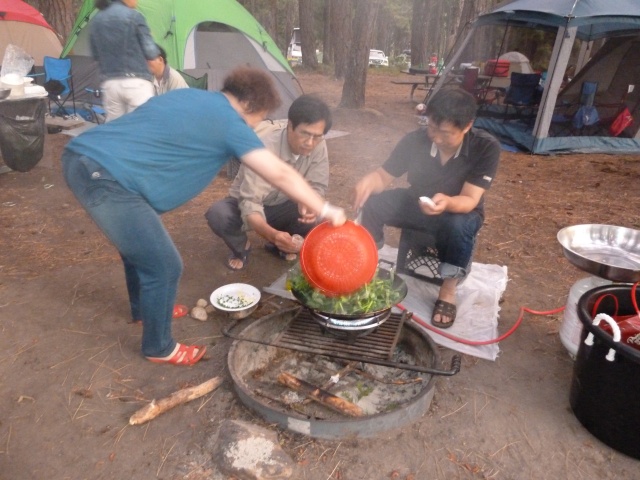 P1010144.jpg