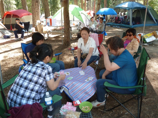 P1010194.jpg