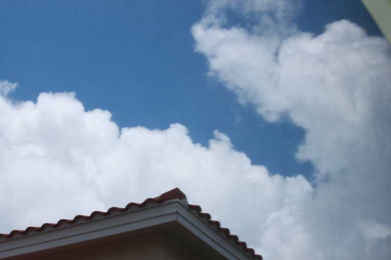 367.jpg