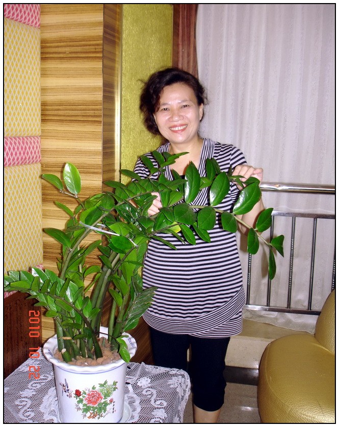 04.jpg