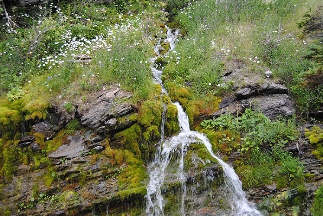 DSC_4822.JPG