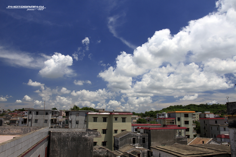 _MG_1786.JPG