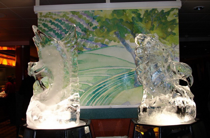 DSC06869.jpg