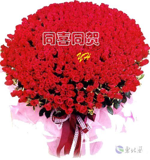 6724adf08ae83f51b17ec5c1.jpg