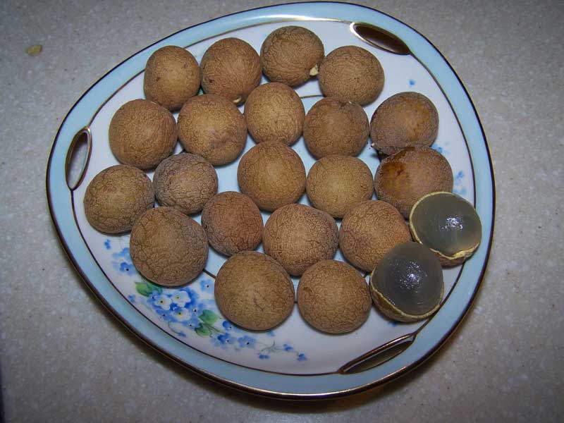 622.jpg