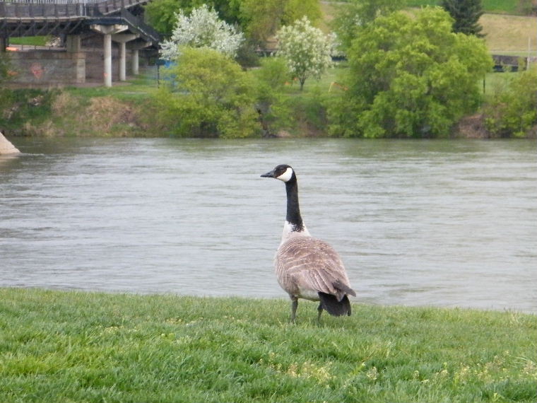 DSCF9430.JPG