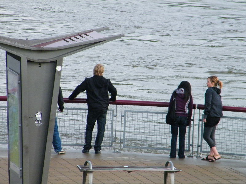 DSCF0483.JPG