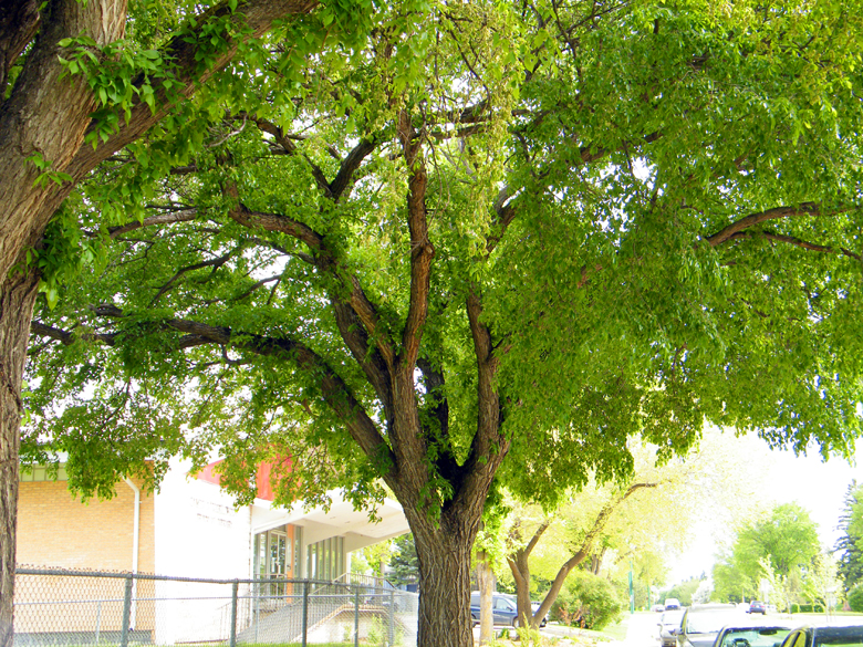 DSCF9672=0.jpg