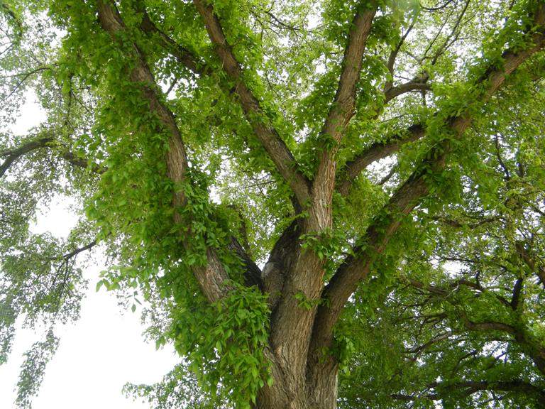 DSCF9673.JPG