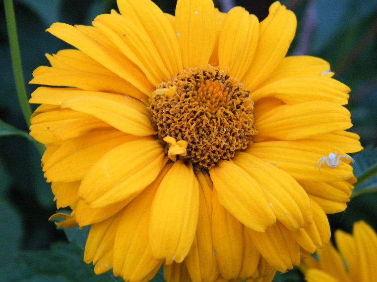 DSCF1678.JPG