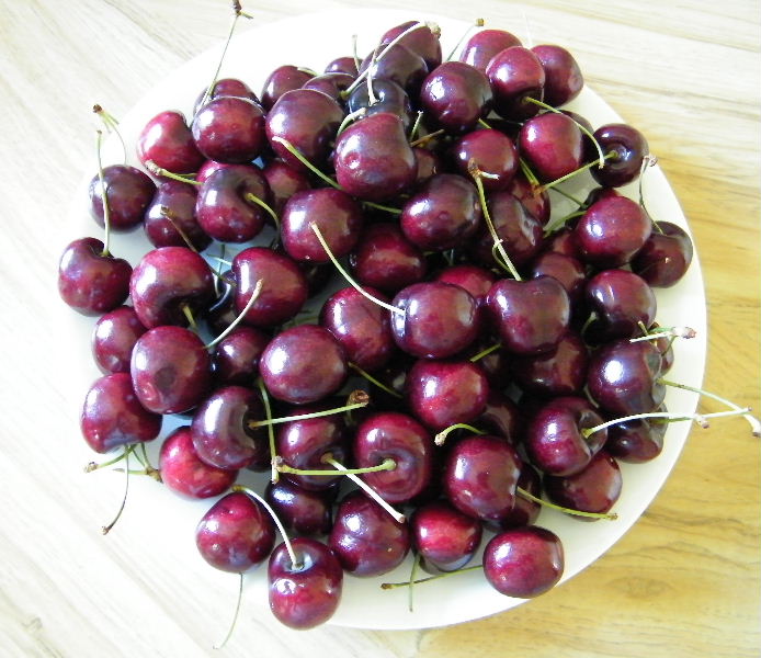 DSCF1854.JPG