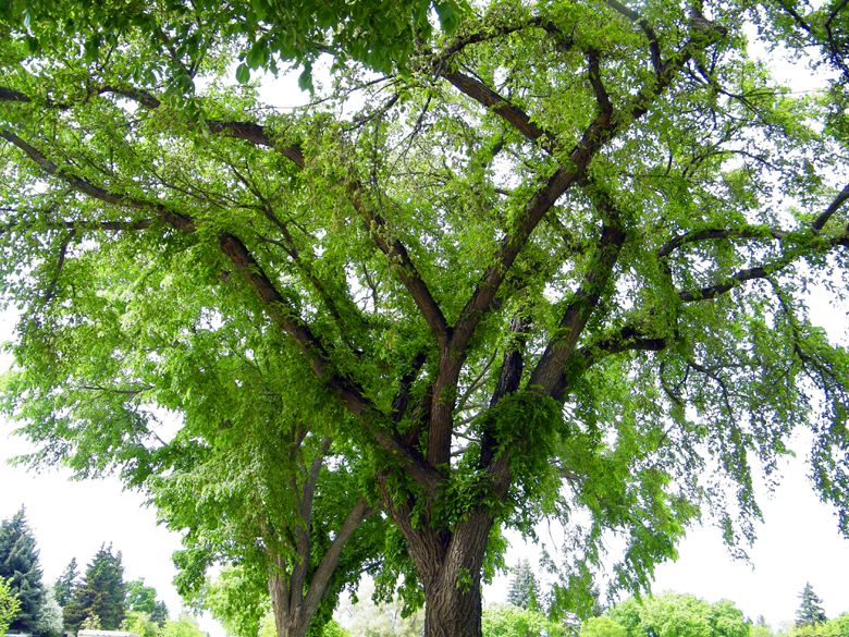 DSCF9668=0.jpg
