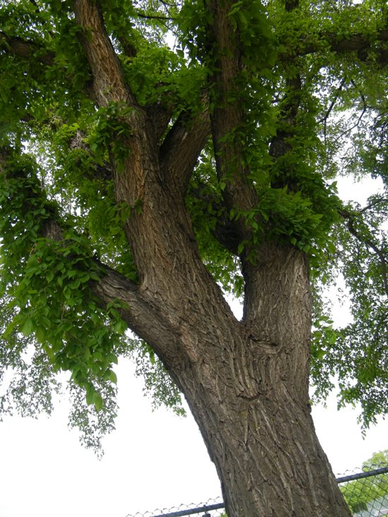 DSCF9671.JPG